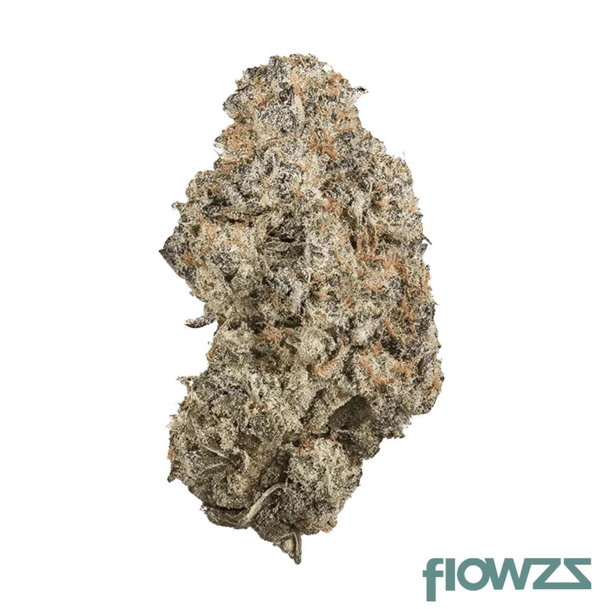 drwatson-26-flash-aus-jack-flash-5