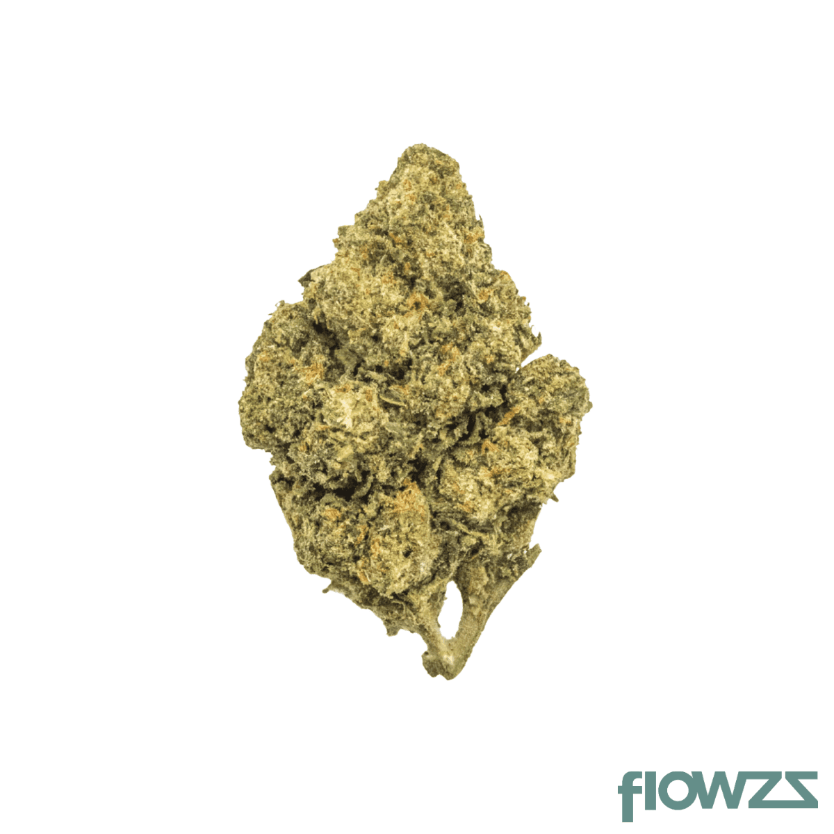 enua-25-1-coz-ca-cookies-oz