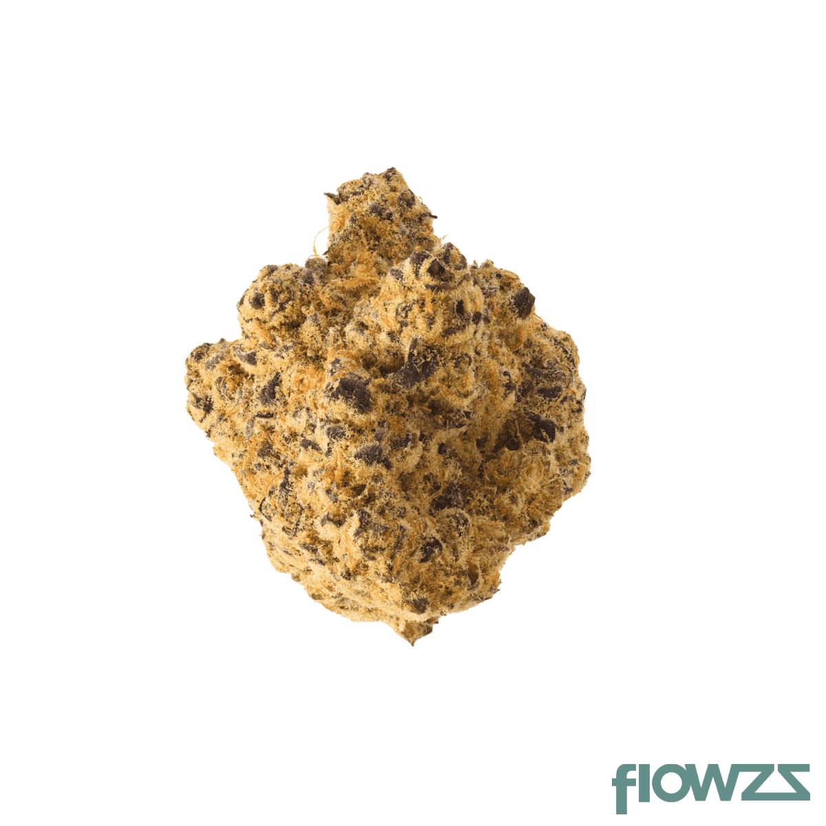 citizen-labs-cr-34-1-cali-rain