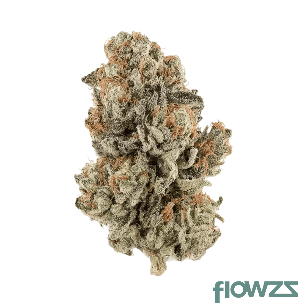 drwatson-22-cs-aus-cream-smoothie