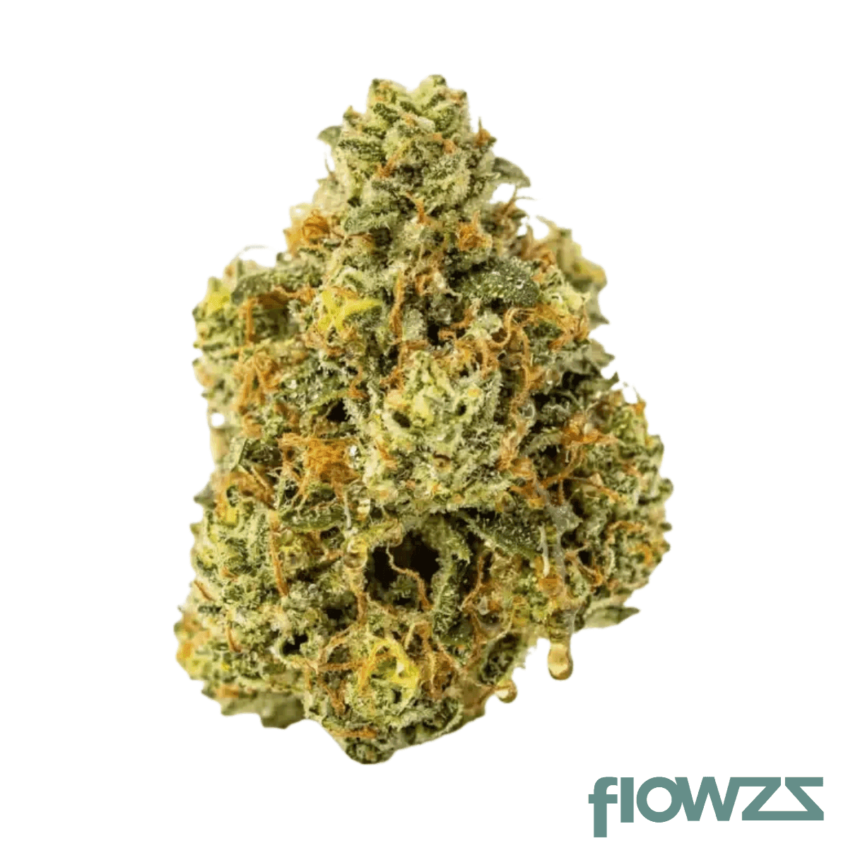 pop-up-no-21-tropicana-banana