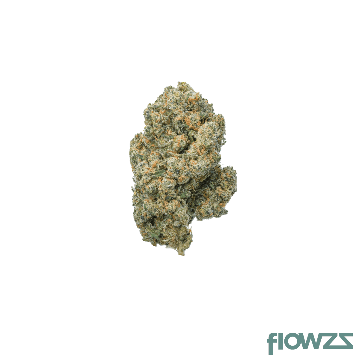cannamedical-sativa-classic-sa-jack-herer
