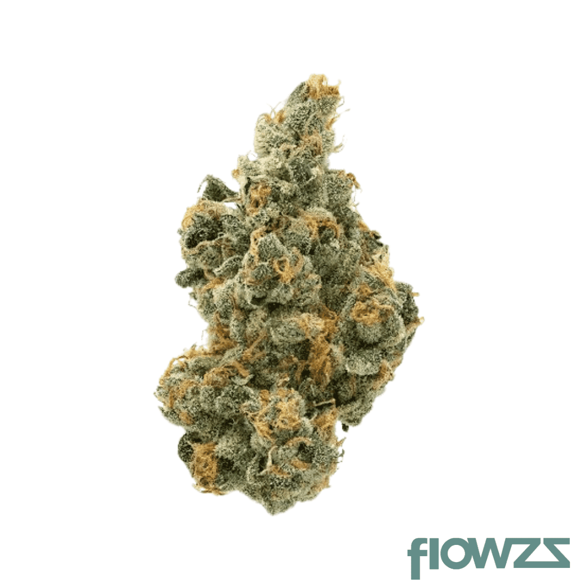 pop-up-no-22-purple-milk