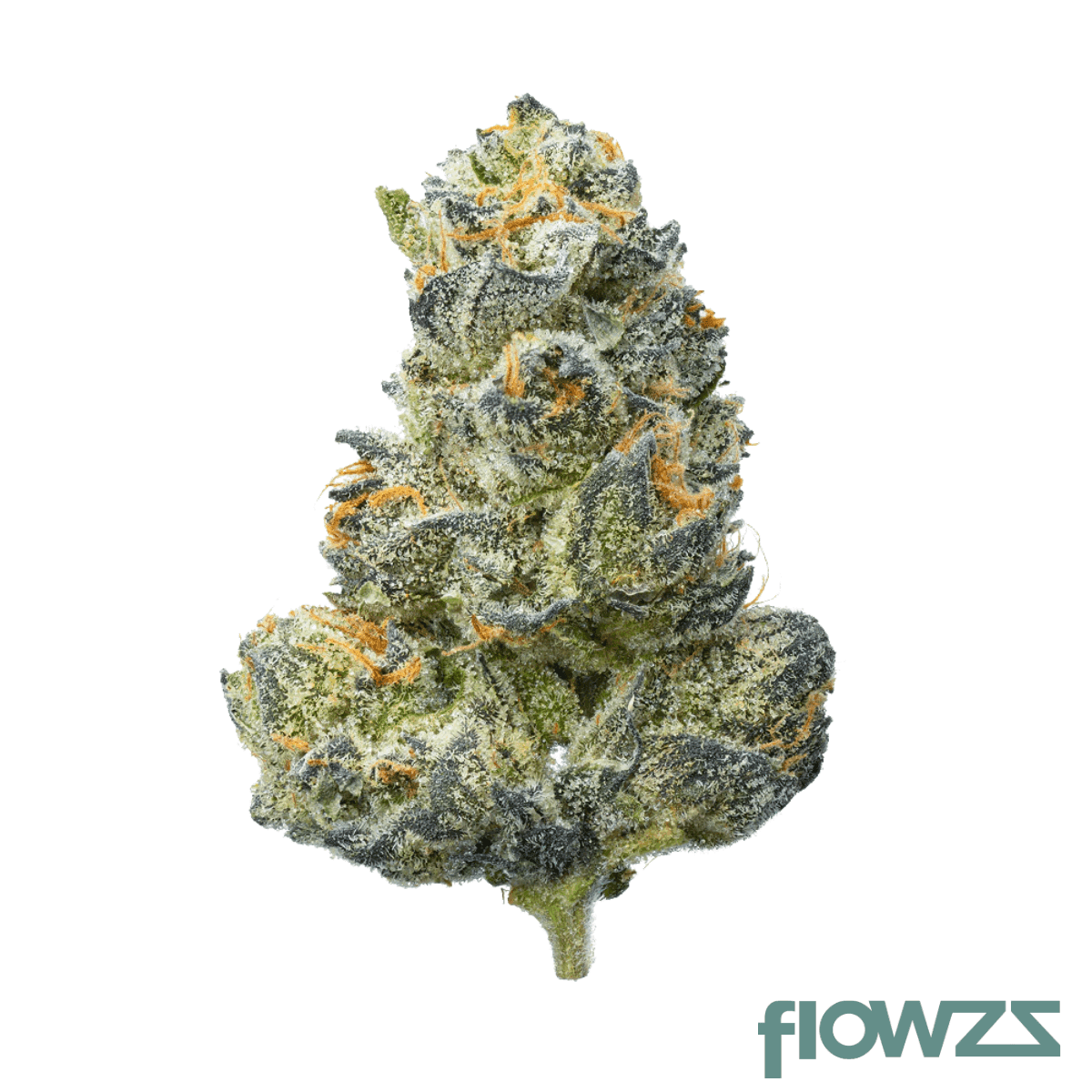 demecan-core-pulse-25-1-zativa