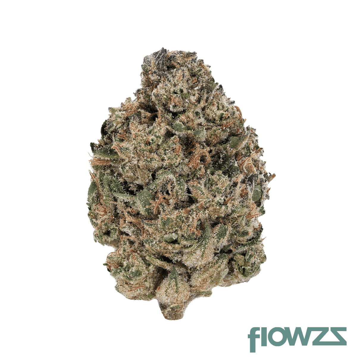pop-up-no-30-spritzer