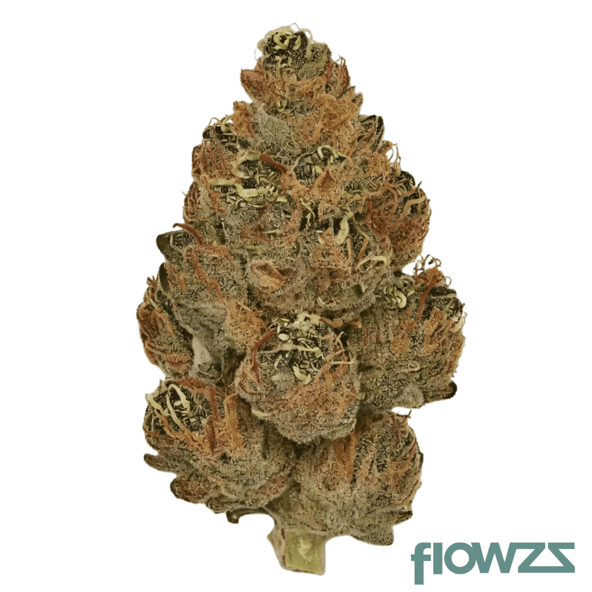 huala-30-1-ca-bkm-banana-kush-mints