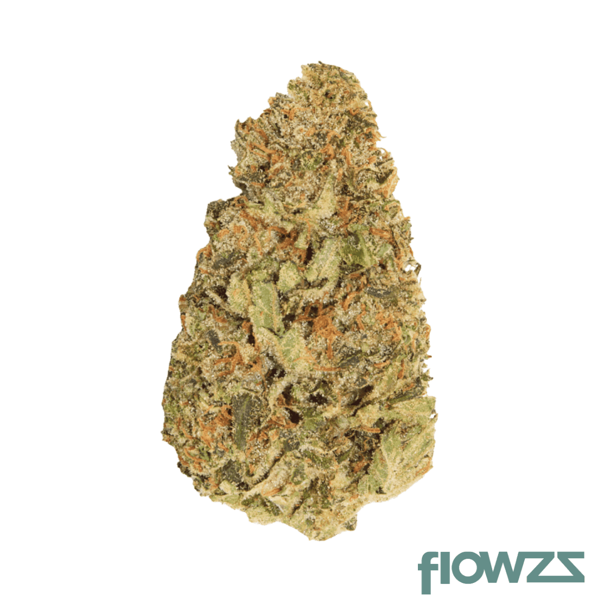 hidealz-24-1-ms-lib-liberty-haze-smalls