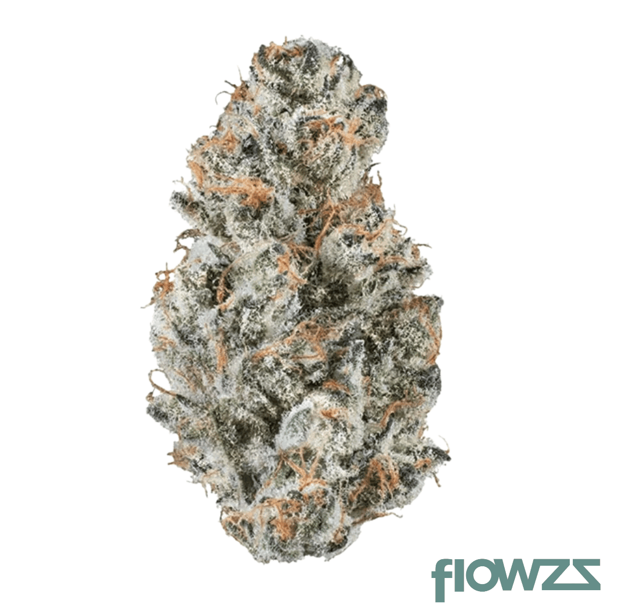 pressa-society-purplefarm-j31-frozen-harz