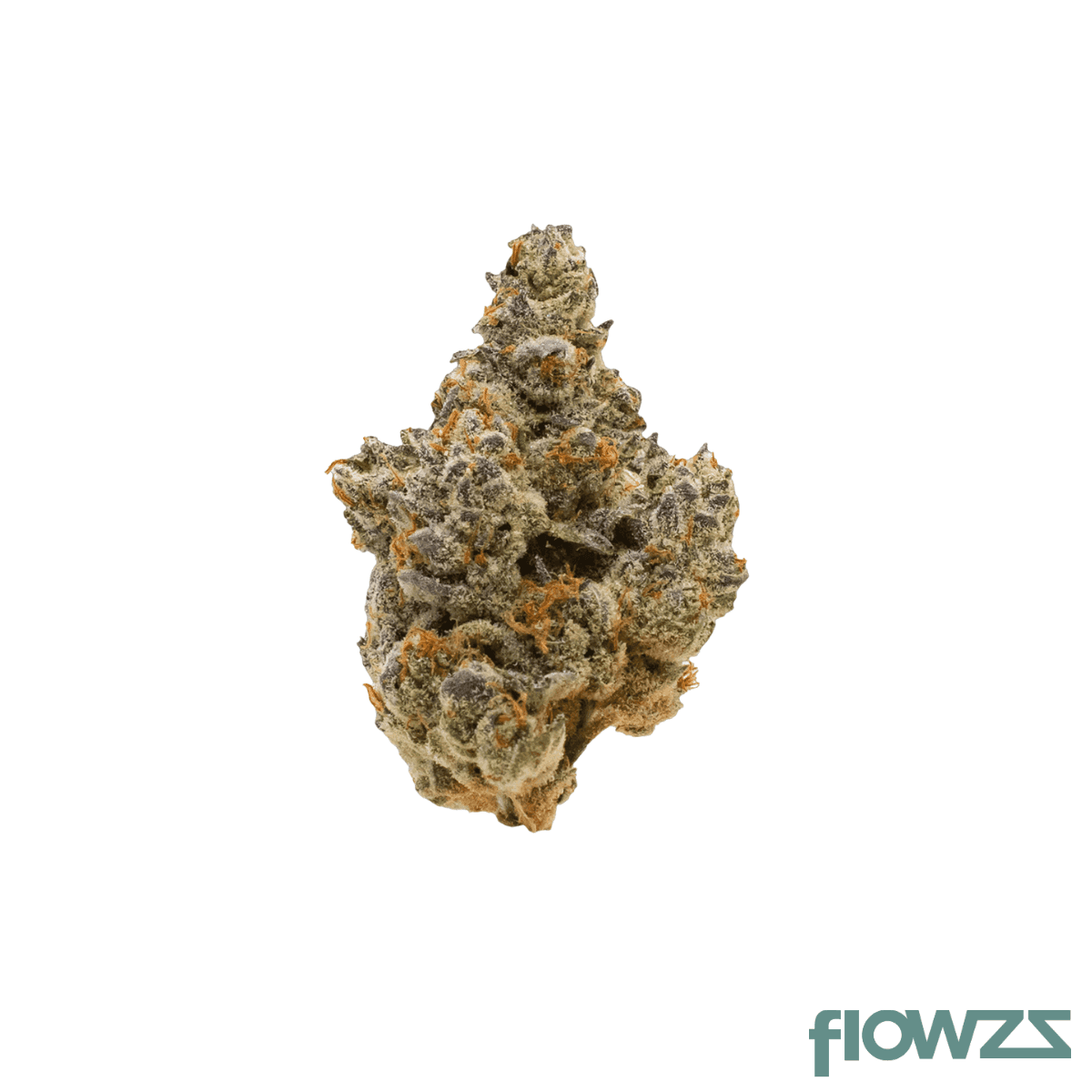 pop-up-no-1-24-1-gastro-pop