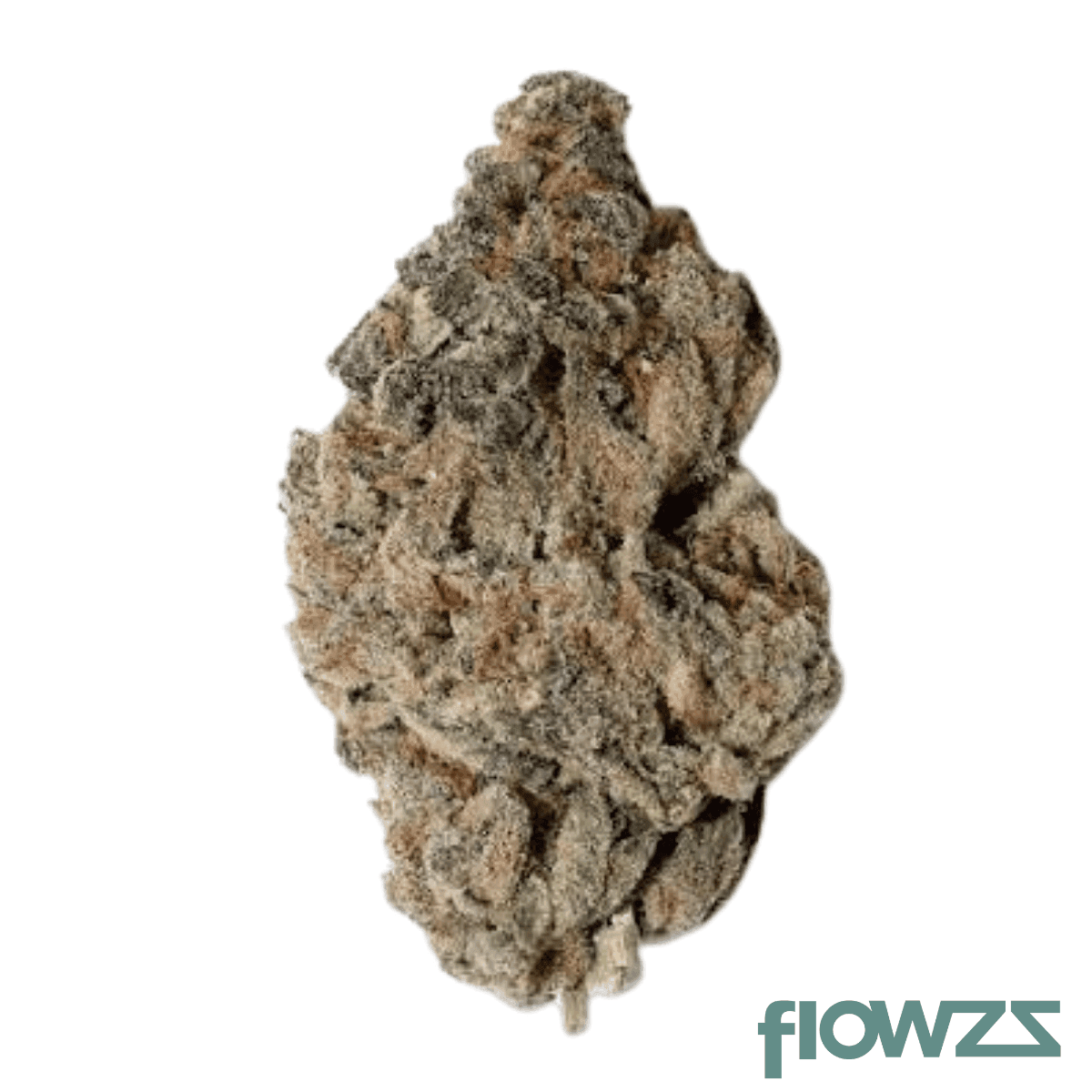 sa-selection-sa-tm-22-1-thin-mintz