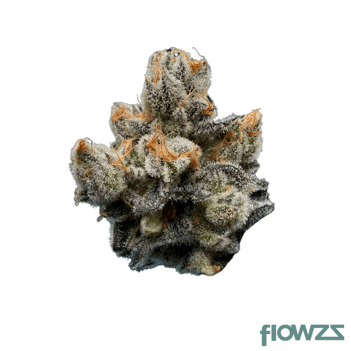 Green Karat MG 31/1 Modified Gas