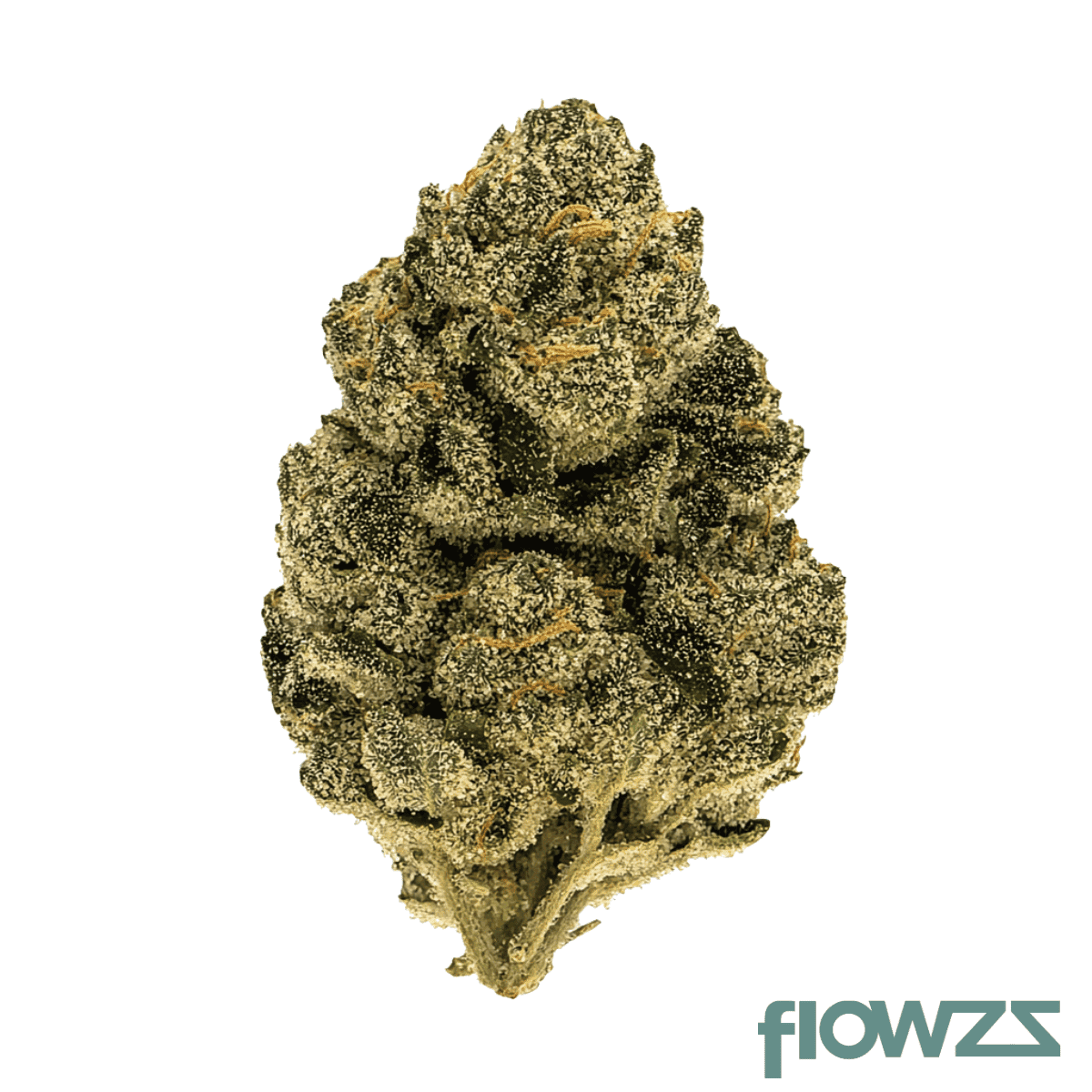 care-cannabisflower-gdf-thc-18-gushers