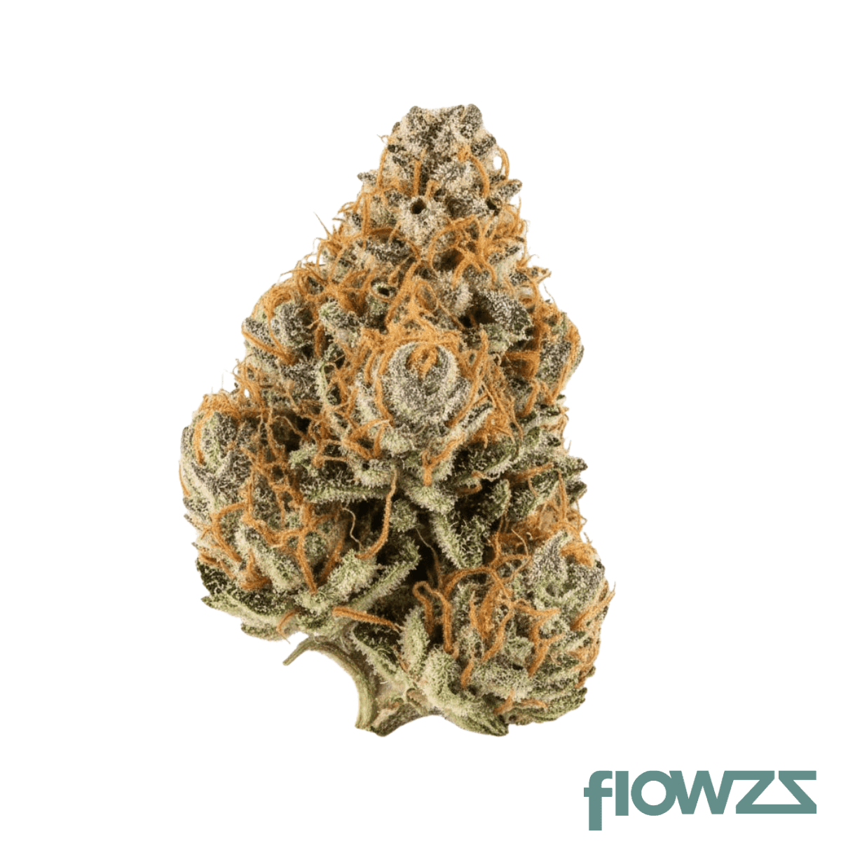 demecan-core-orng-19-01-orange-dreamsicle
