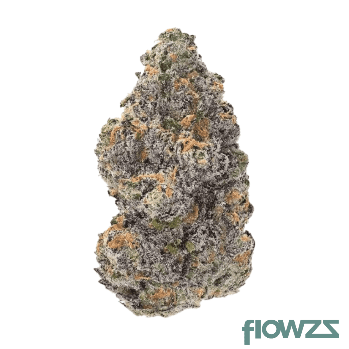 organic-sweetgrass-blt-30-1-blacklight