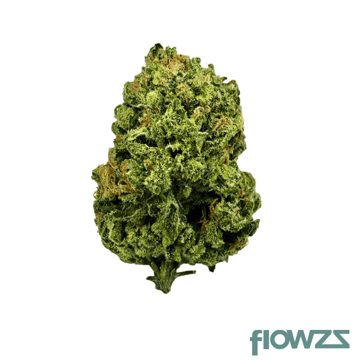 imc-token-ck-thc25-creamy-kees