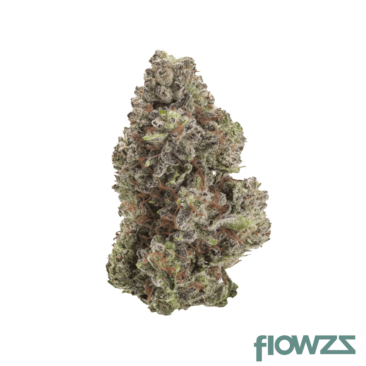 pheno-18-1-stk-starwalker-kush
