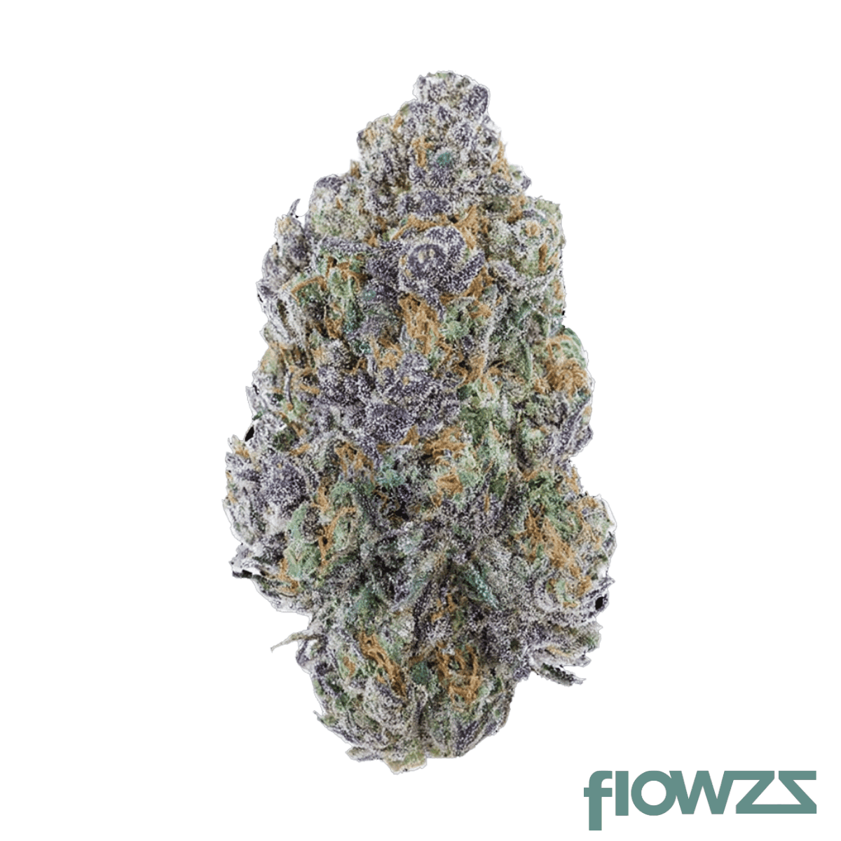 caspers-no-52-tamalez