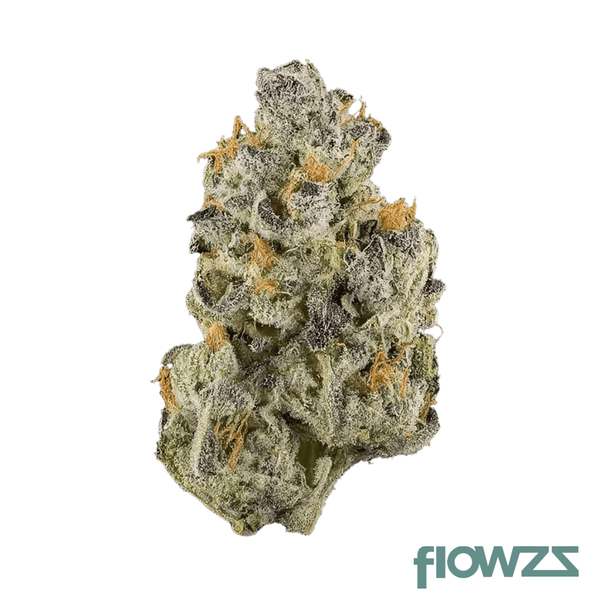 patagonia-gr-34-1-grape-runtz