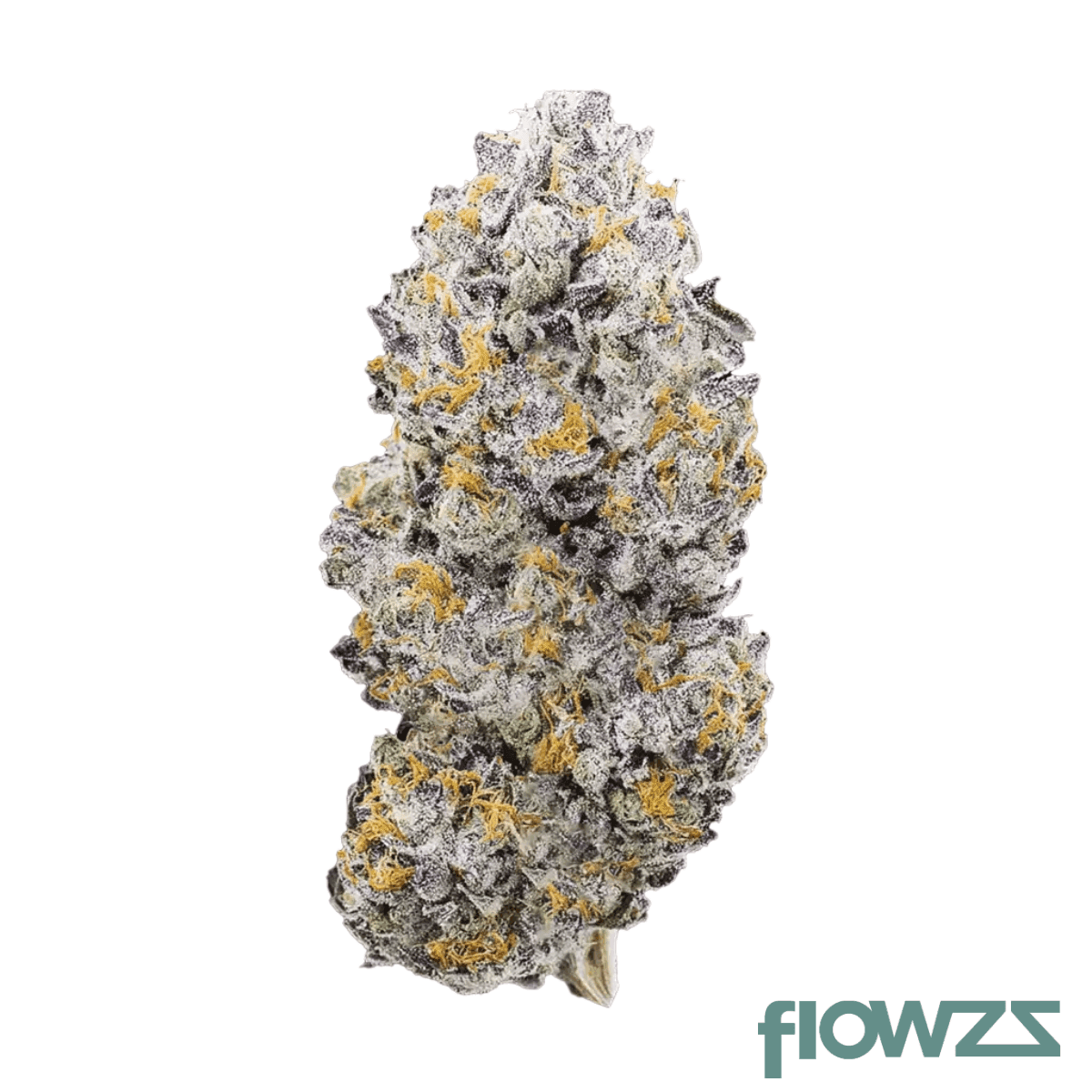 care-vz-thc21-vitamin-z
