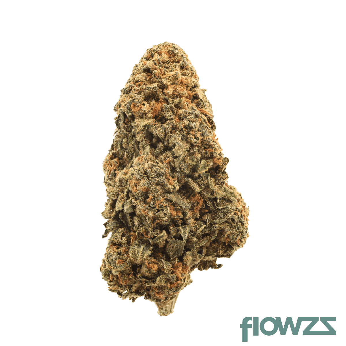 onit-fl-20-1-forbidden-lolly
