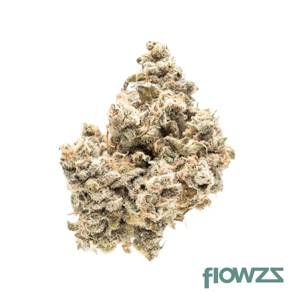 30-1-amici-grog-grape-og