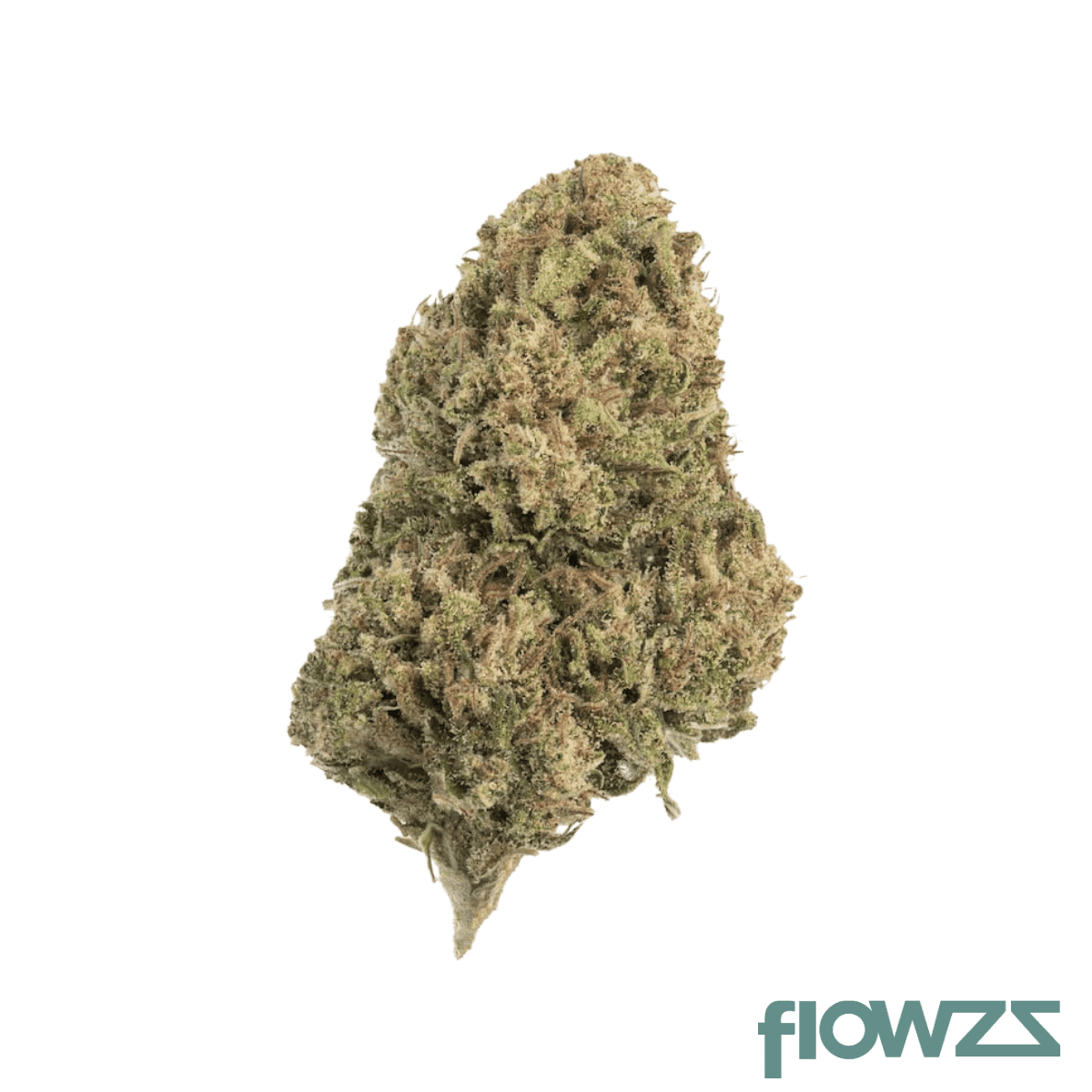 coyote-valley-20-1-ogp-og-poison