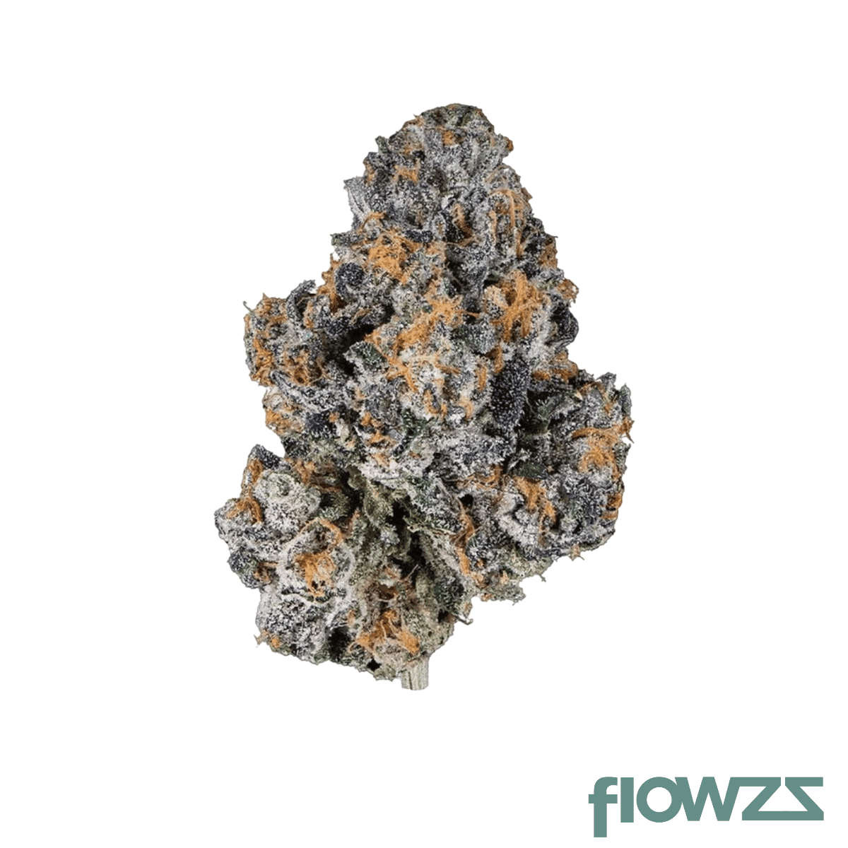 blue-sapphire-30-1-gelato-41