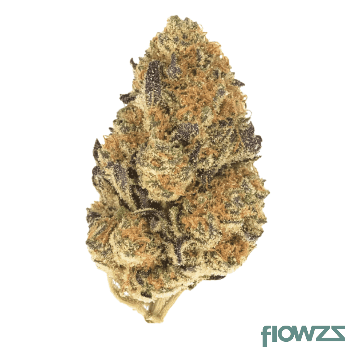 mgf-pop-up-no-12-30-1-tch-rich-banana-cream-pop