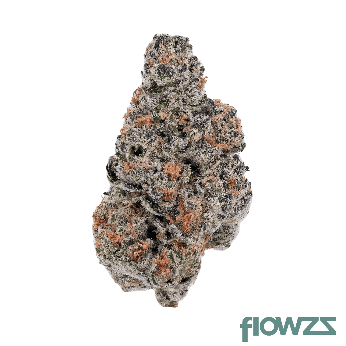sa-selection-sa-opp-24-1-orange-push-pop