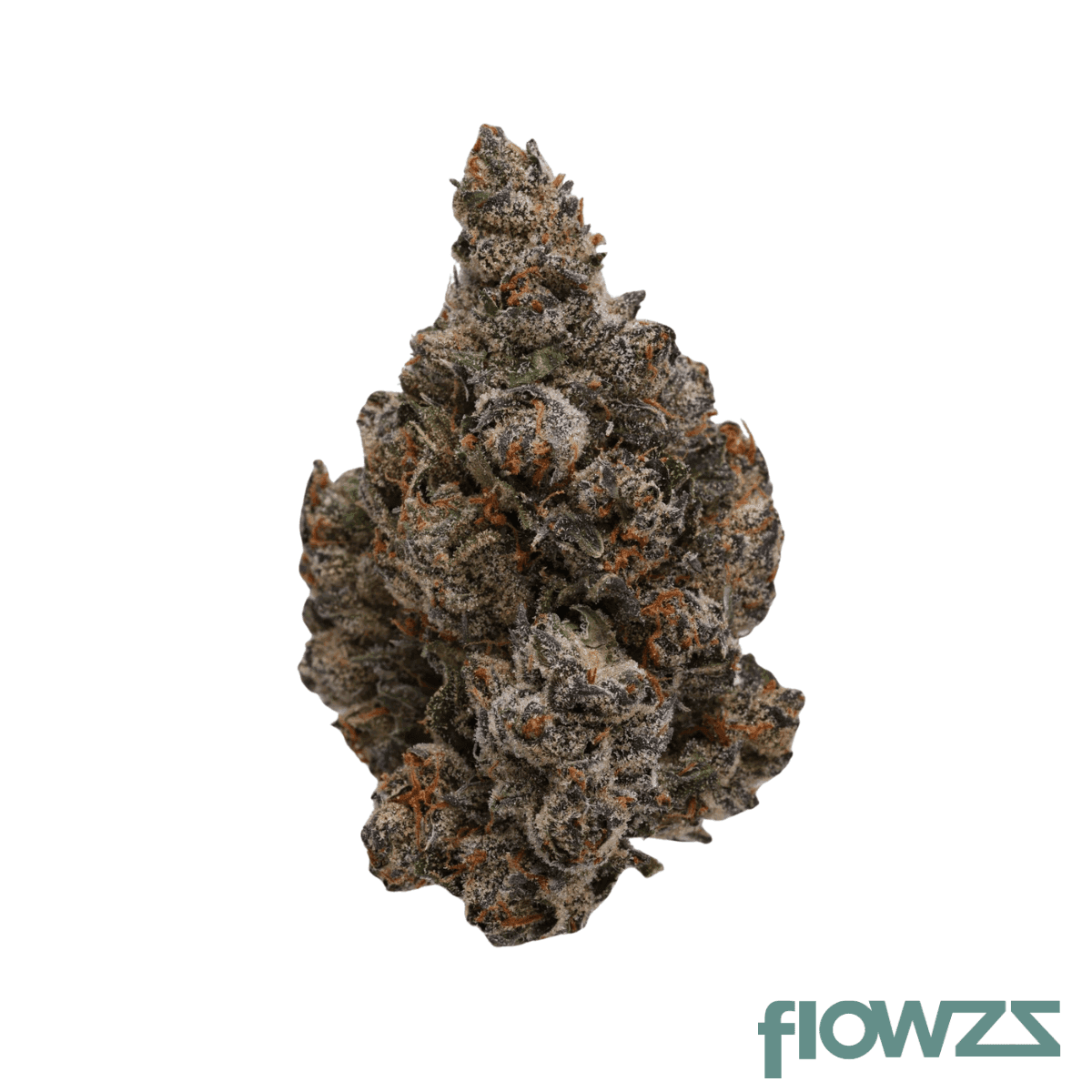 coyote-valley-24-1-ddg-drizl-dawg