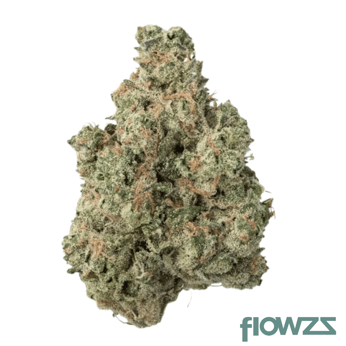 daily-special-25-1-pwr-papaya-power
