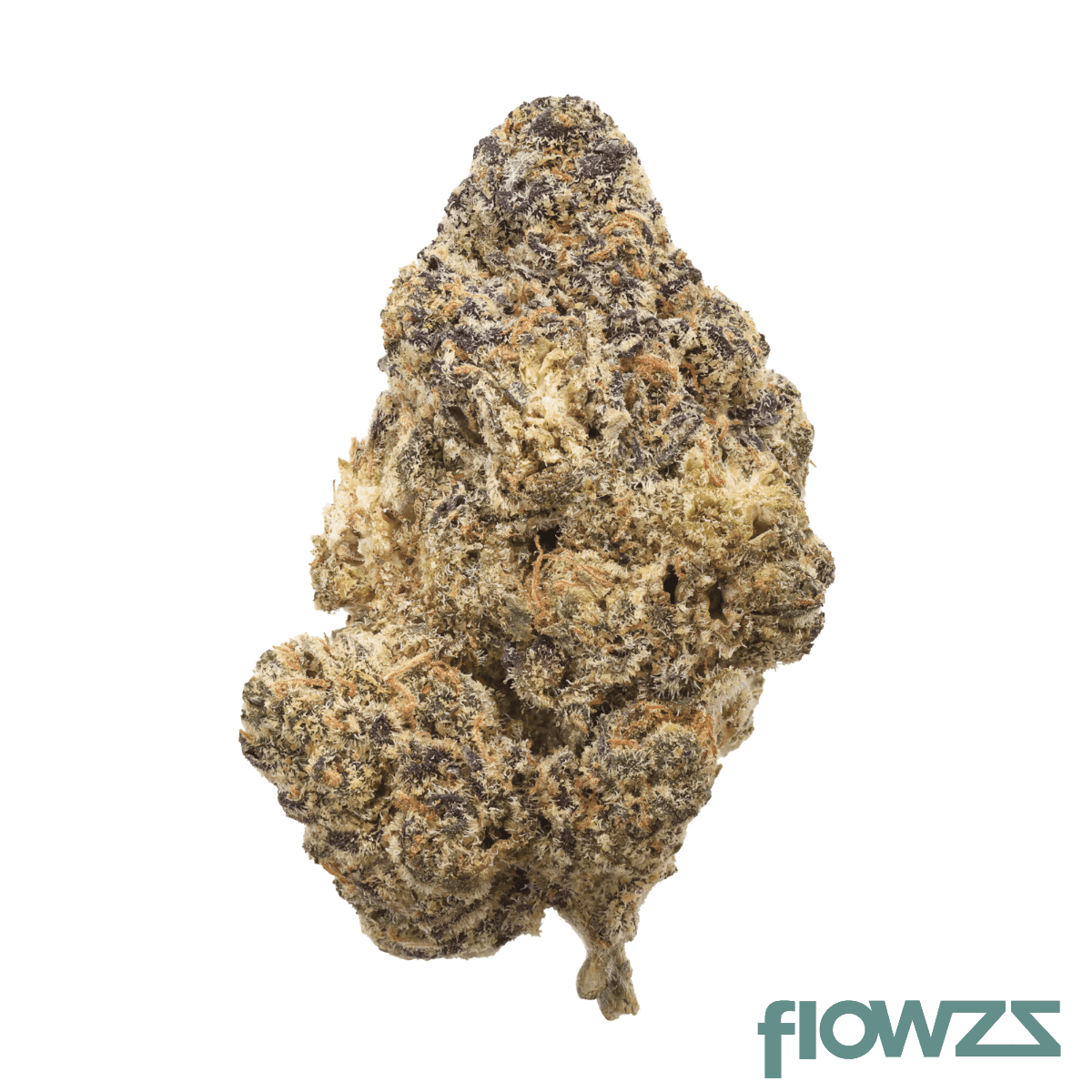 hi-society-ck-28-1-creamy-kush