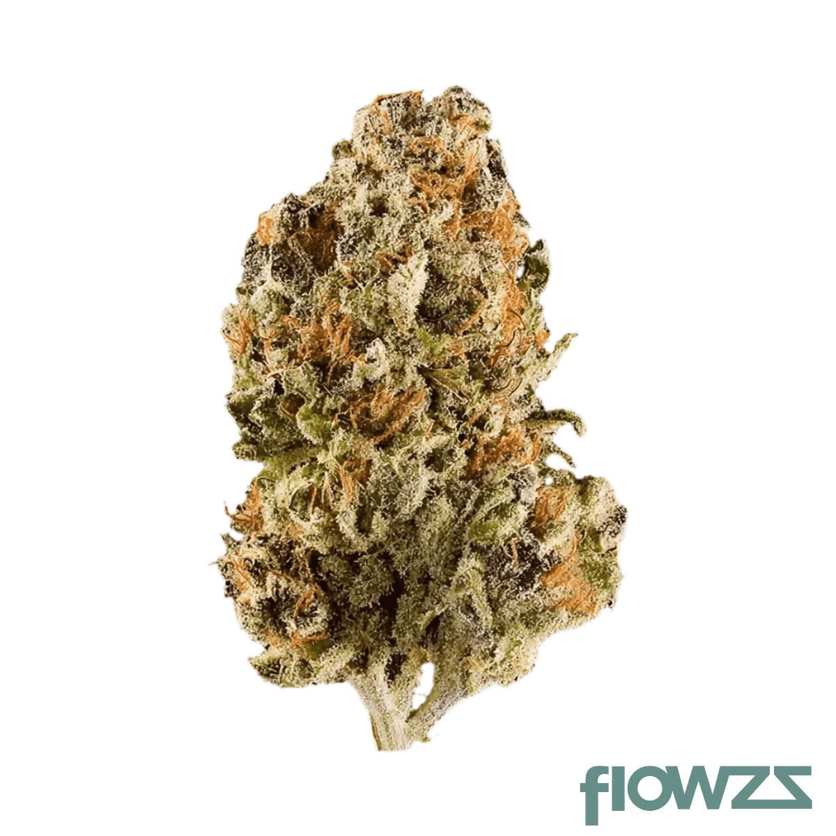pheno-25-1-wpt-white-peyto