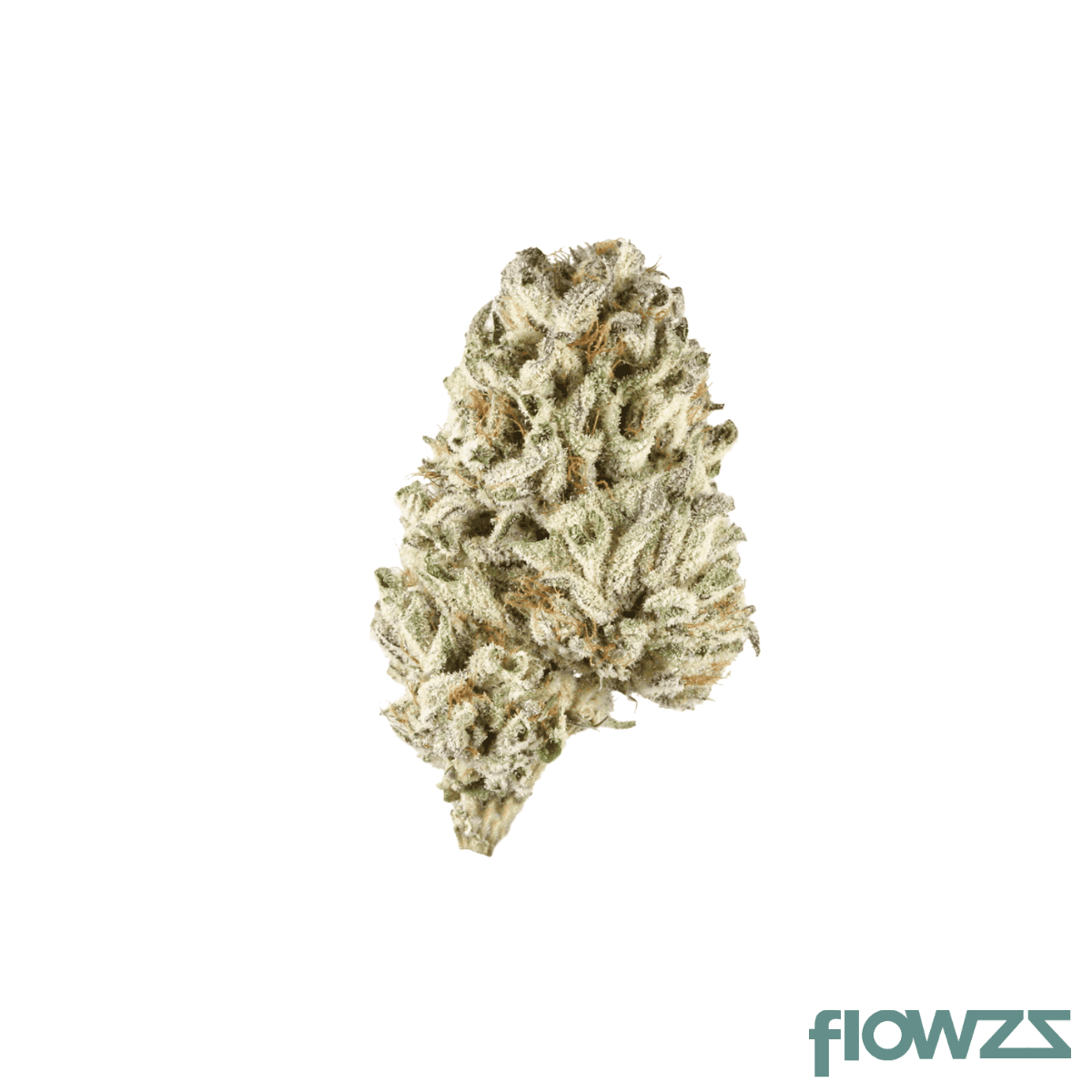 med-hybrid-bal-phcc-24-1-cherry-cookies