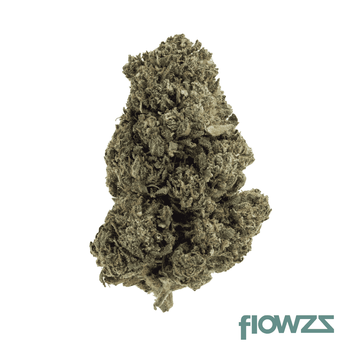 tweed-gmo-30-1-gmosi