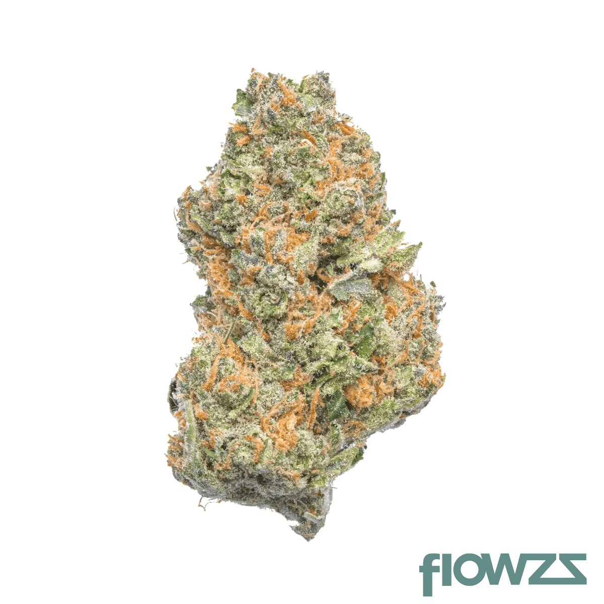 med-hybrid-bal-phbb-22-1-berry-banger