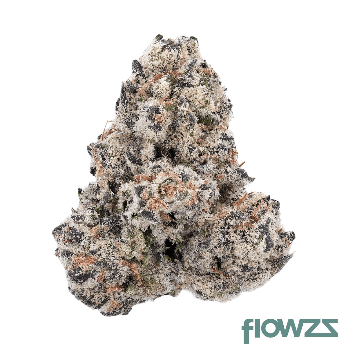 canthera-budget-24-1-pab-papaya-bomb