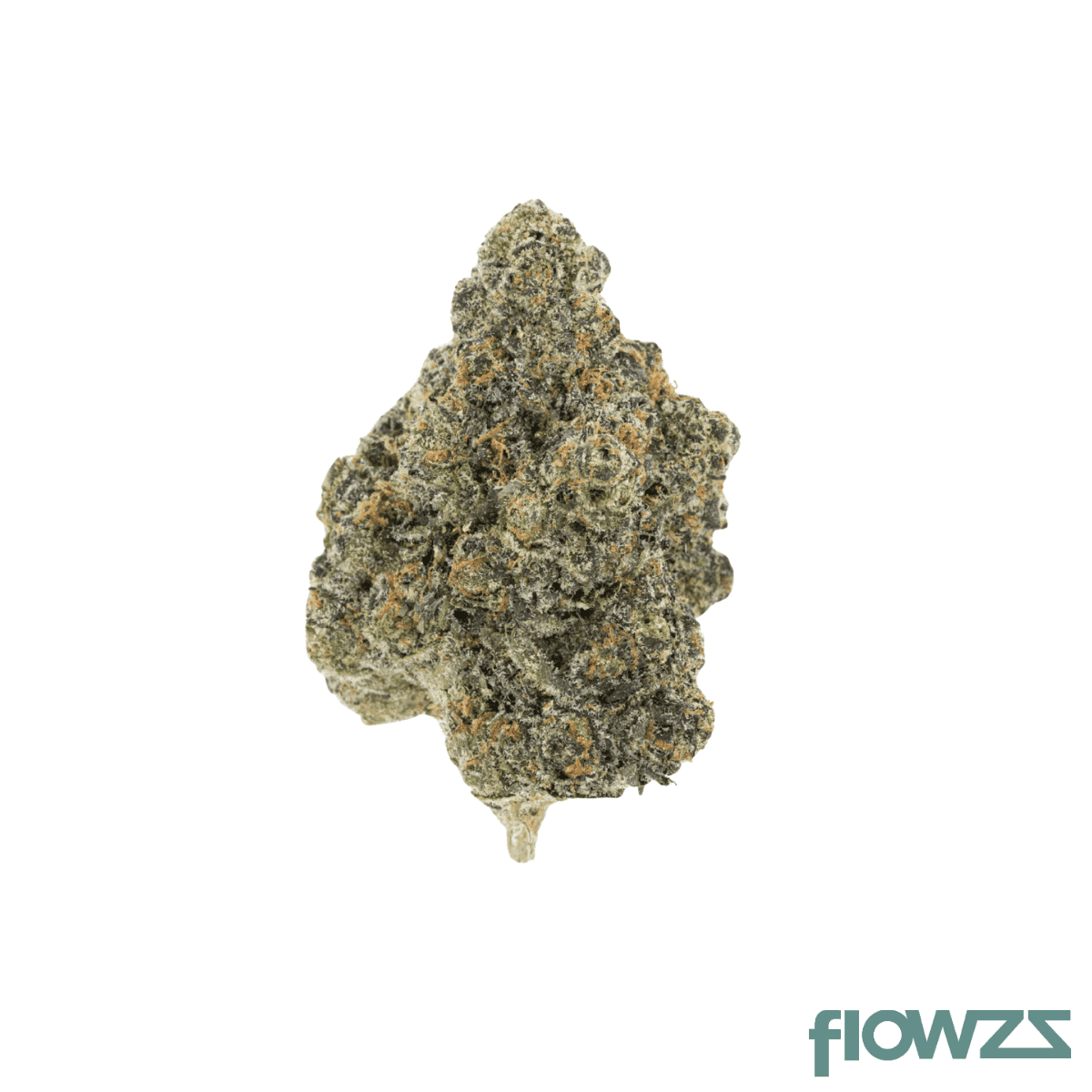 czechout-24-1-cmt-cmnt