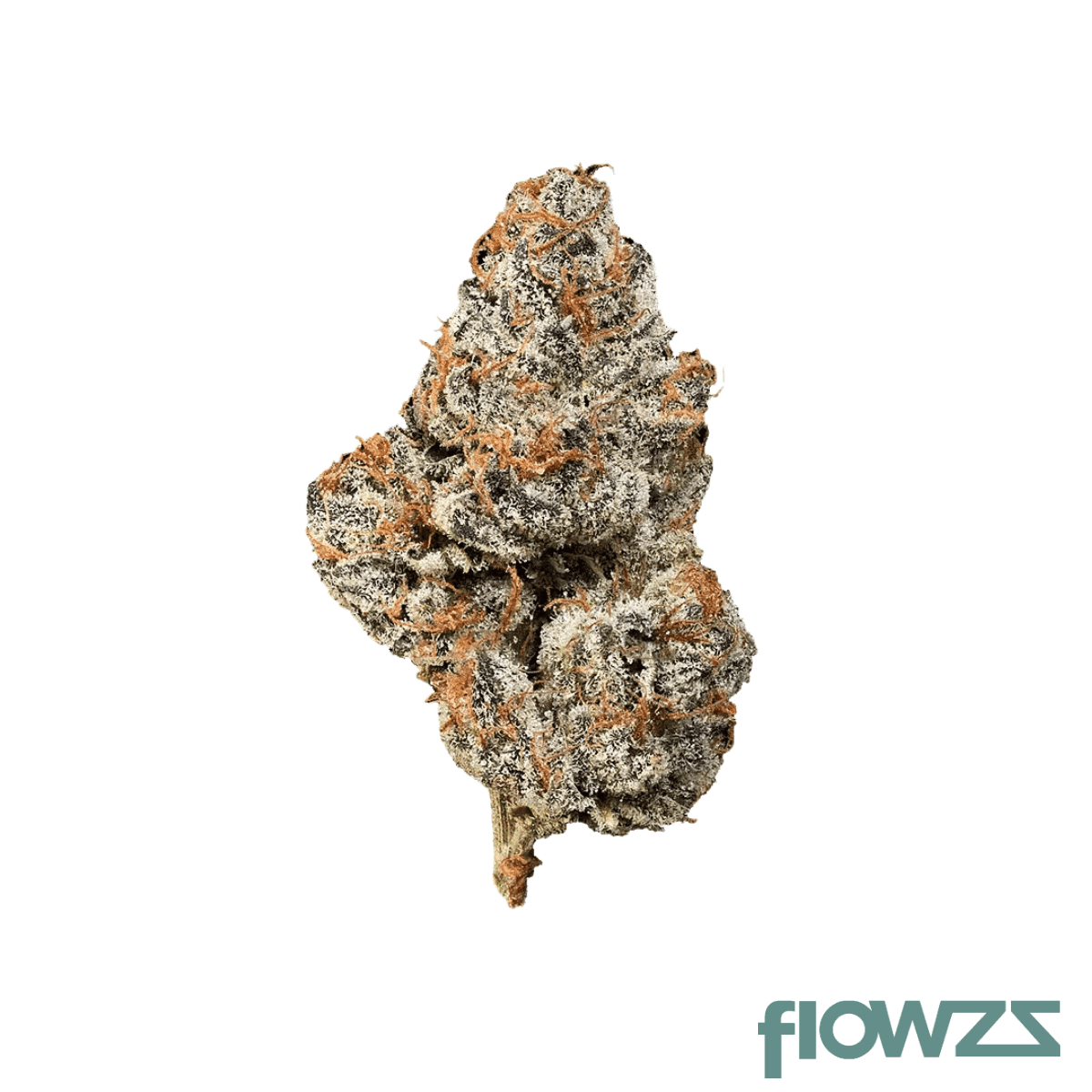 luana-28-1-fcg-frozen-cherry-gas