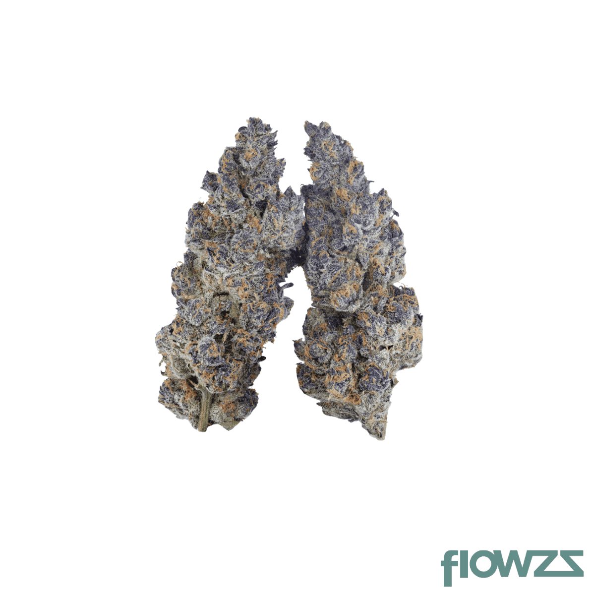 soma-og-28-1-super-boof