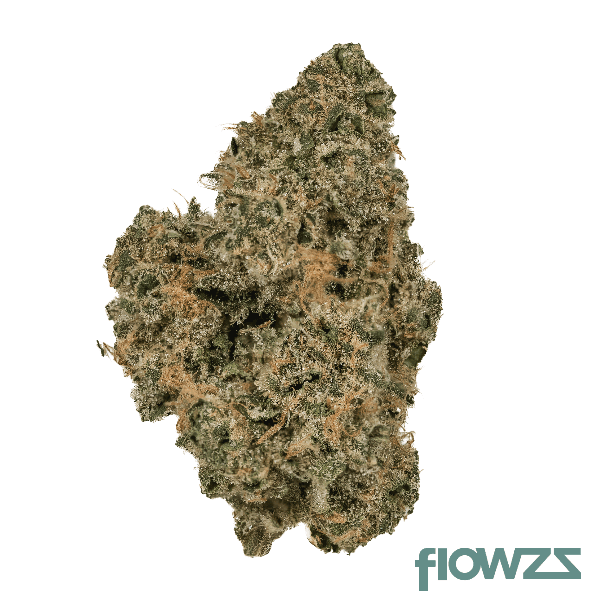 cherryco-23-01-gog-k-gelato-og