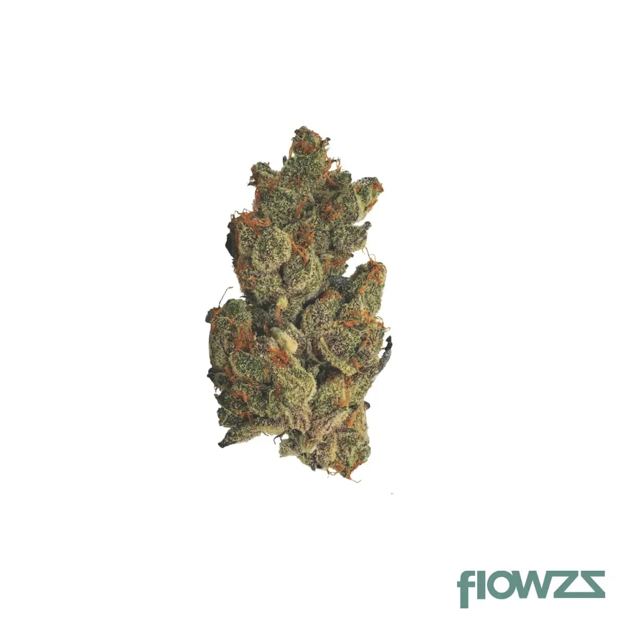 nice-28-1-chm-gmo-chem-mintz