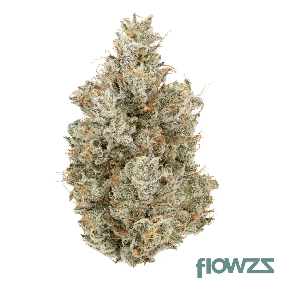 lit-29-1-pco-platinum-cookies