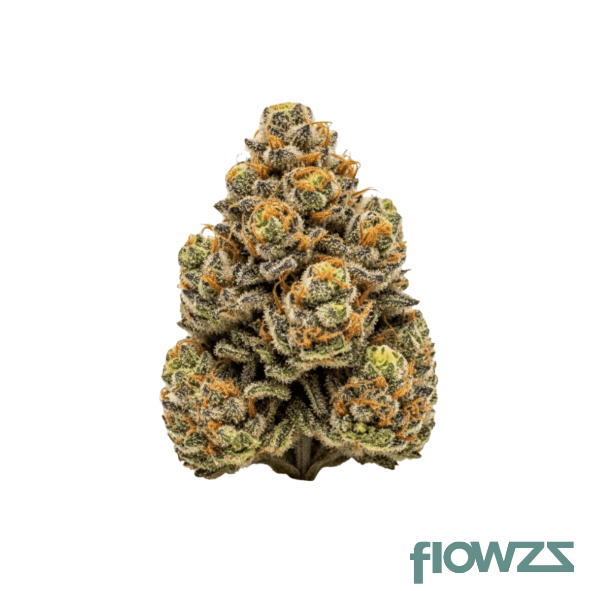 hidealz-24-1-ms-pik-pink-kush-smalls