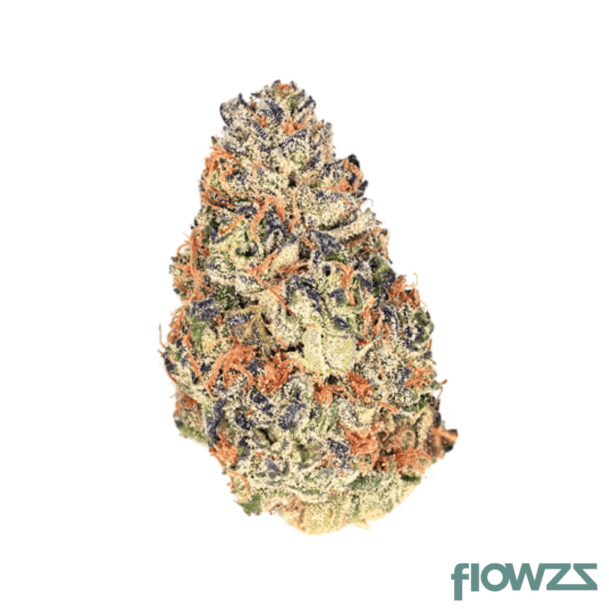 demecan-craft-rocket-28-01-pave-gastro-pop