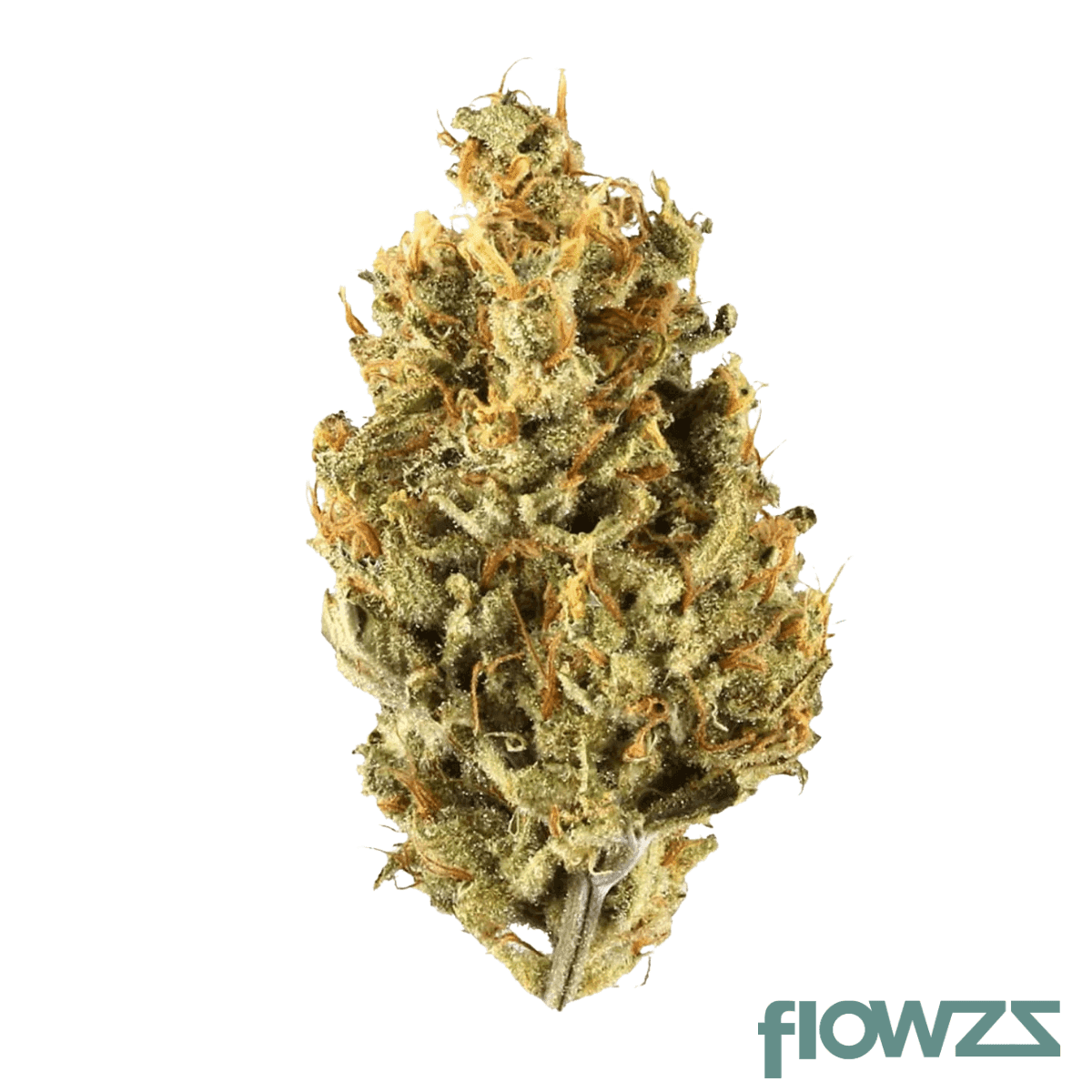 dr-watson-22-br-aus-black-runtz