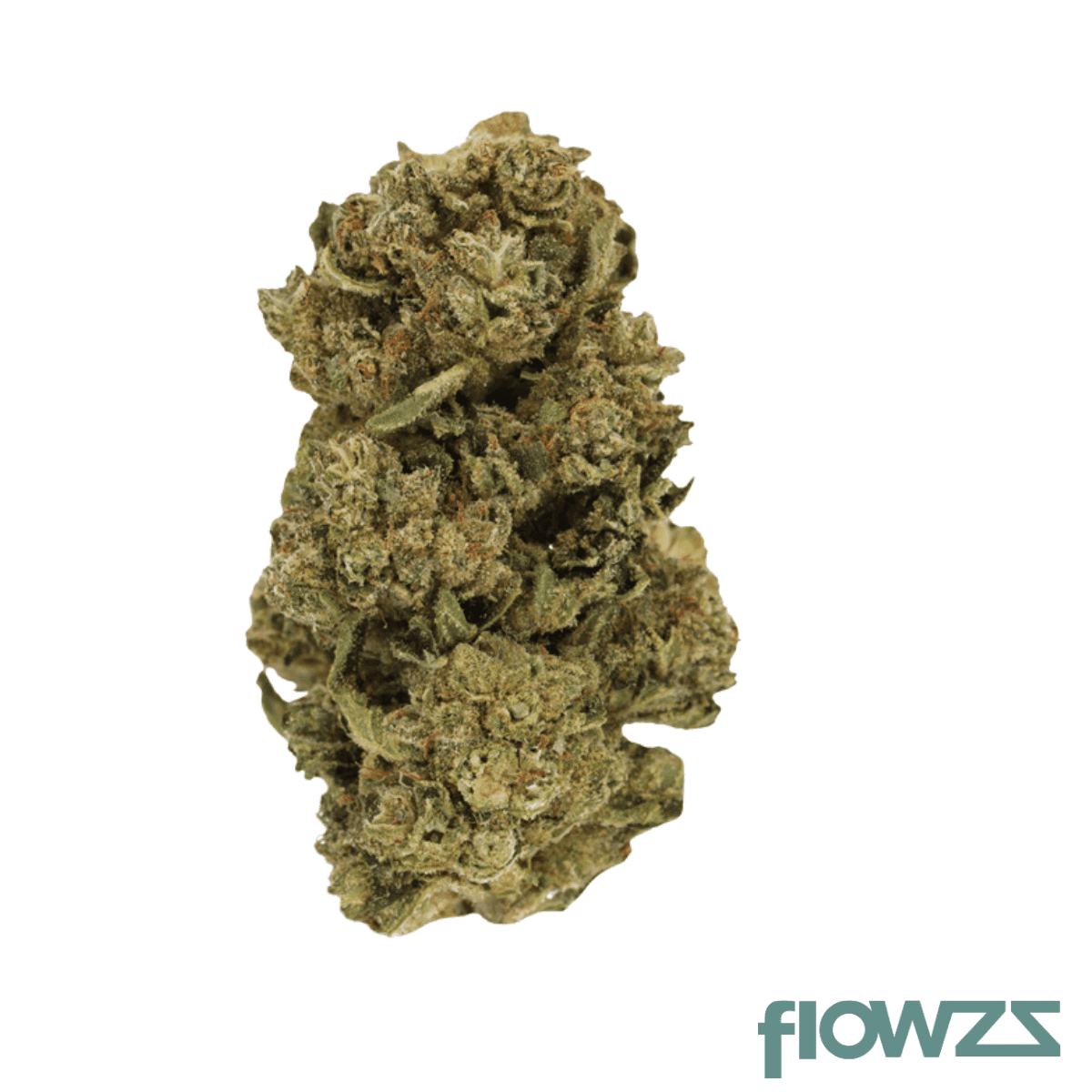 enua-25-1-cbc-ca-citron-biker-cookies