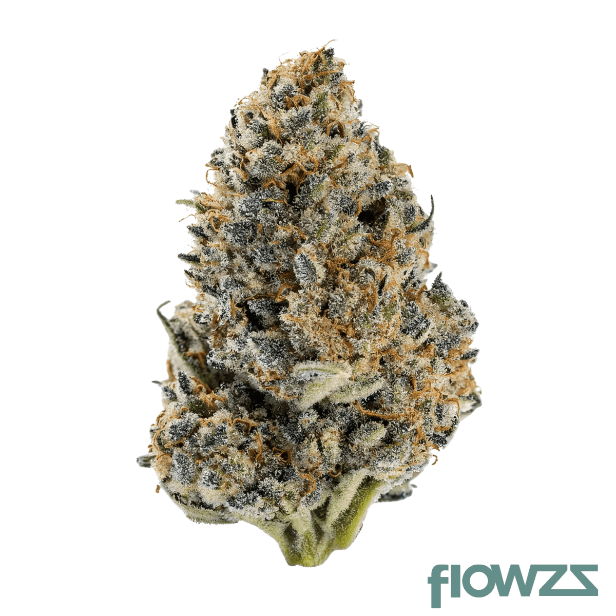 amc-mtg-20-1-blueberry-lemon-cherry-gelato