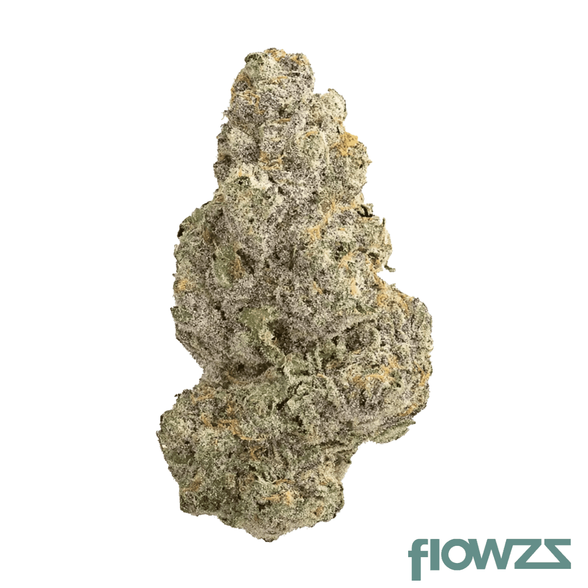 hi-society-mm-26-1-moneymaker