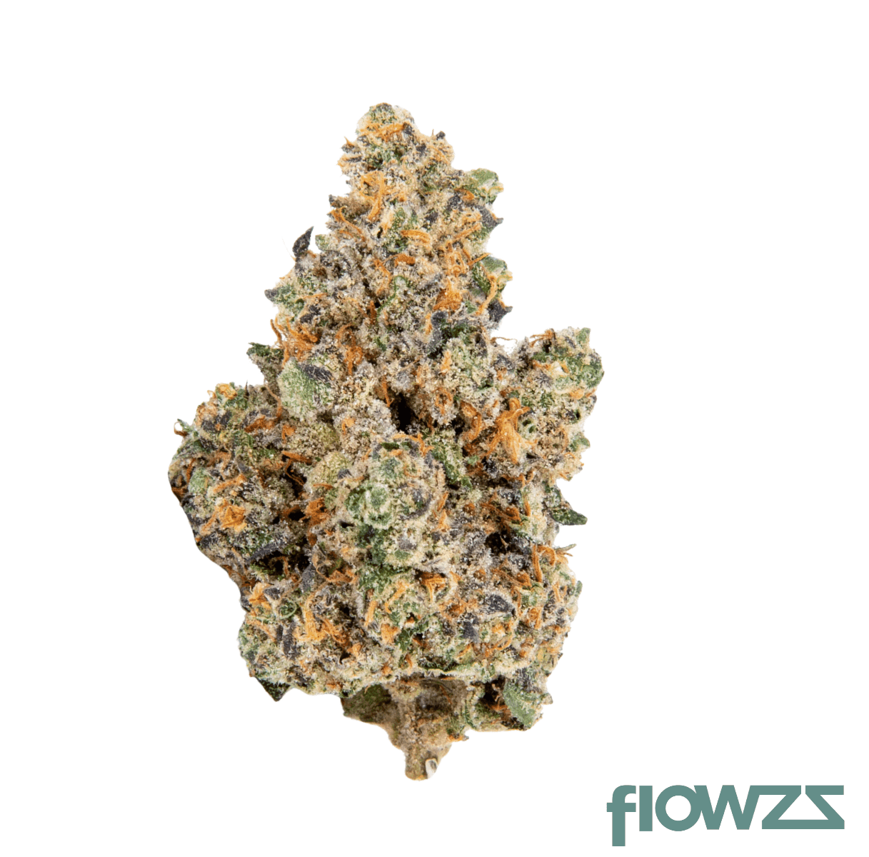 phcann-exotics-24-1-spritzer